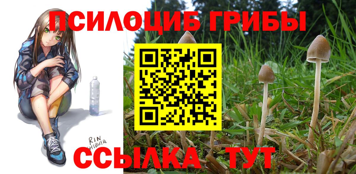 Галлюциногенные грибы Psilocybine cubensis  Вход с VPN  Псков 