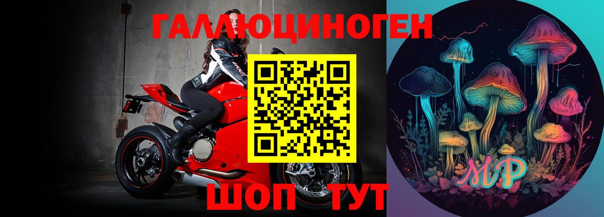 Галлюциногенные грибы GOLDEN TEACHER Псков
